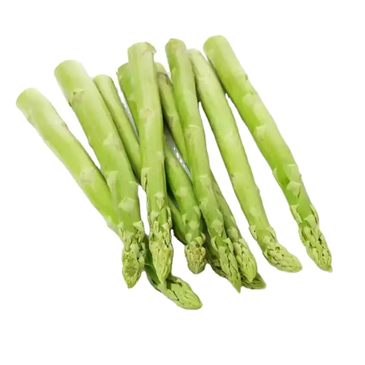 Wholesale buy fresh vegetables green bibit asparagus seeds root