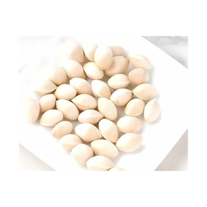 High Top Quality Best Selling Ginkgo Nut Seeds as Food Selling Ginkgo Nuts Fresh Raw Ginkgo Nuts BULK