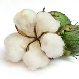 High quality organic cotton fiber,bleached organic cotton fiber,made by USA top manufacturer