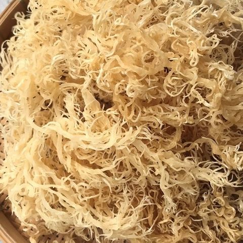 Бестселлер // ирландский Золотой морской мох // продукт из Вьетнама // MS. DORA