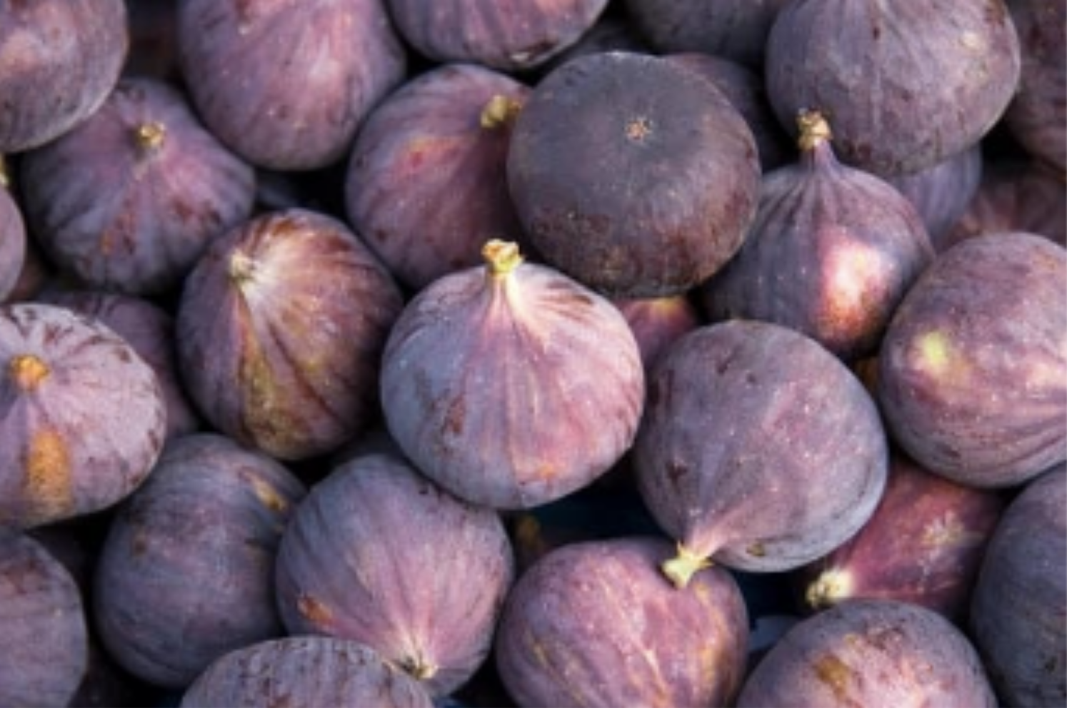 Artisan Made Italian Real Fruit Fig Jam 320g Mason Jar 70% Fruit Ideal For Breakfast Baking Cheese Pairing Gift