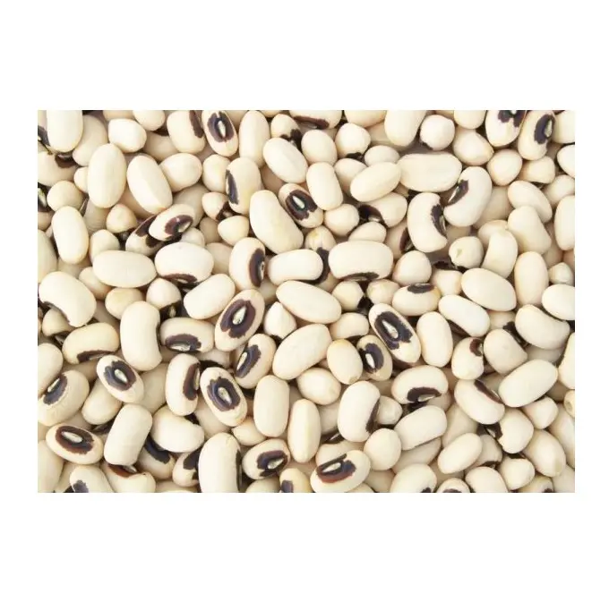 Best Dealer Of Black Eye White beans At Low Prices