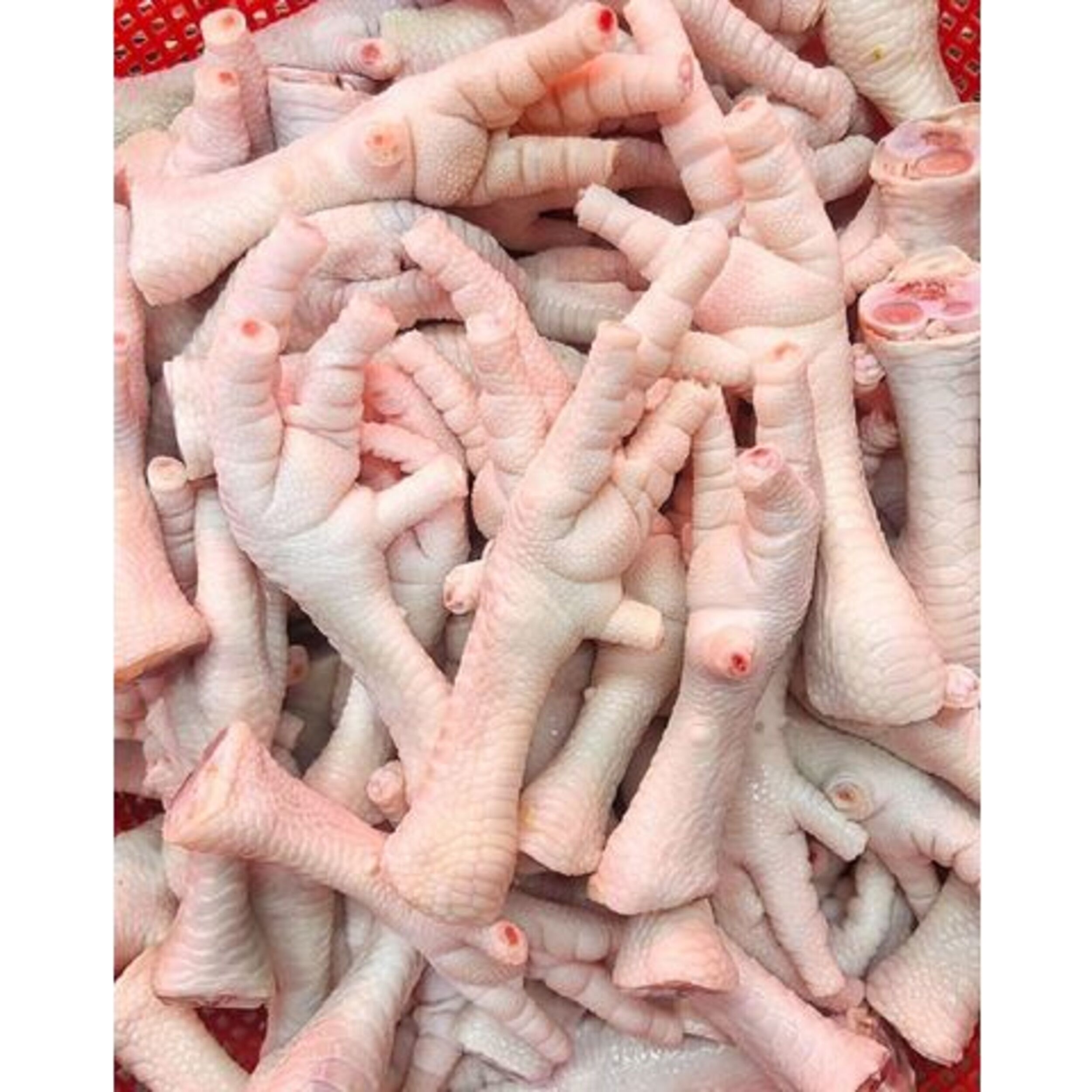Высшее качество, Халяльные куриные ножки/замороженные куриные лапы на продажу