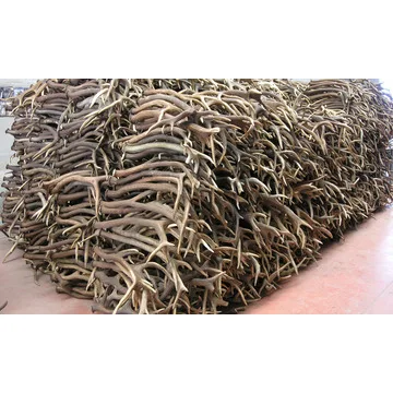New Stock price Top Grade Red Deer Antlers for wholesale sale/ Deer Antlers For SALE