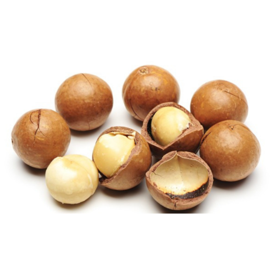 Raw organic Brazilian Macadamia nuts with shell and Without shell
