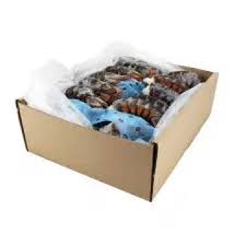 Quality red Lobster/live maine lobster/Frozen red Lobster