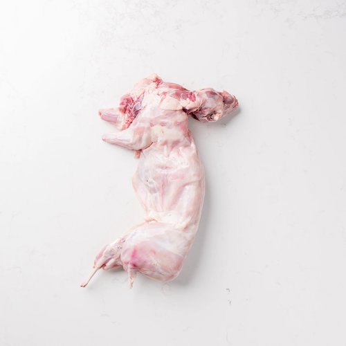 Top Quality Fresh Frozen Whole Rabbit Meat / Fresh Rabbit Meat Ready for Sale