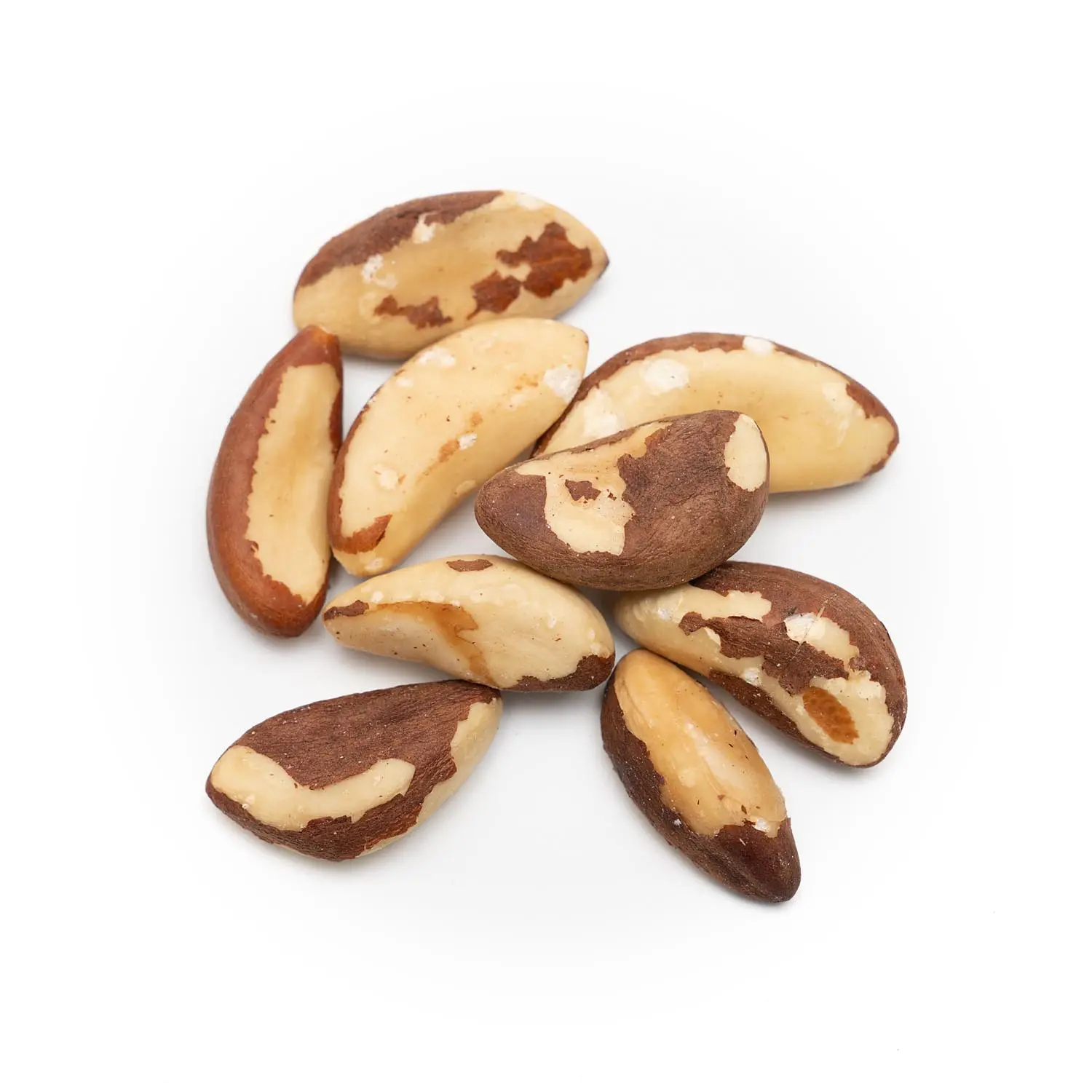 Wholesale Premium Organic Toasted Brazil Nuts With Shell for Snacks