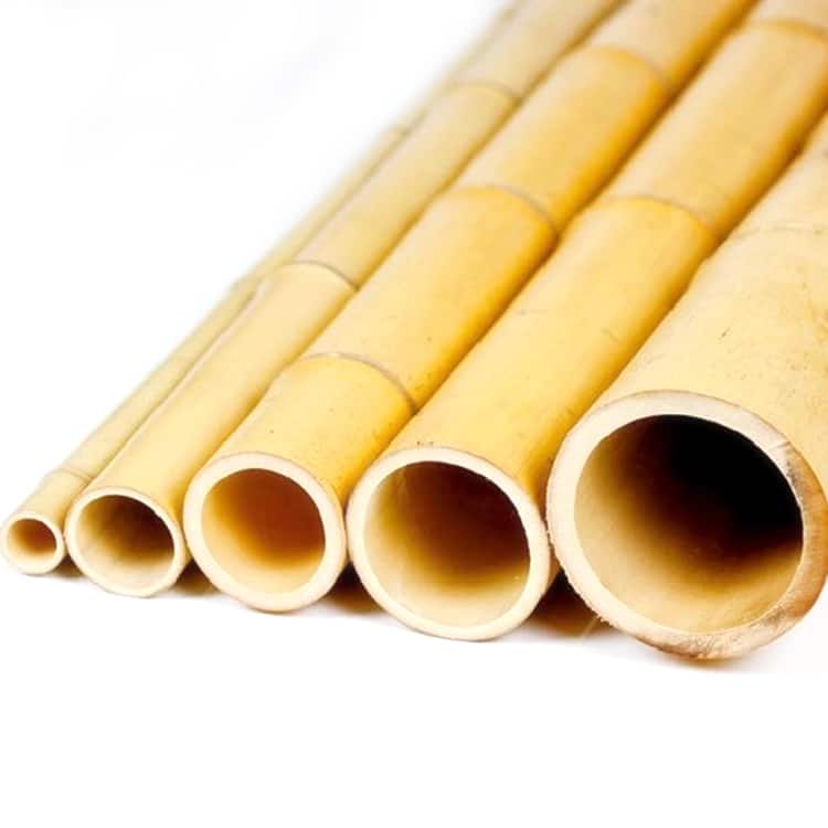 Best price for natural dried bamboo Vietnam raw materials green bamboo poles stick for incense