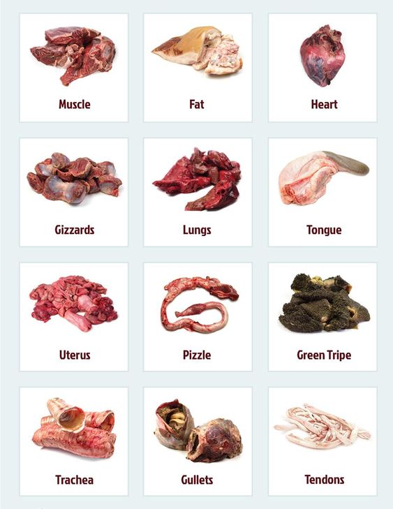 Halal Fresh Frozen Chicken Breast  Style Packaging Feature Weight Fat Shelf Origin Type Life Shape Grade Product SIF Number