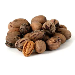 Good Quality Pecan Nuts in for sale