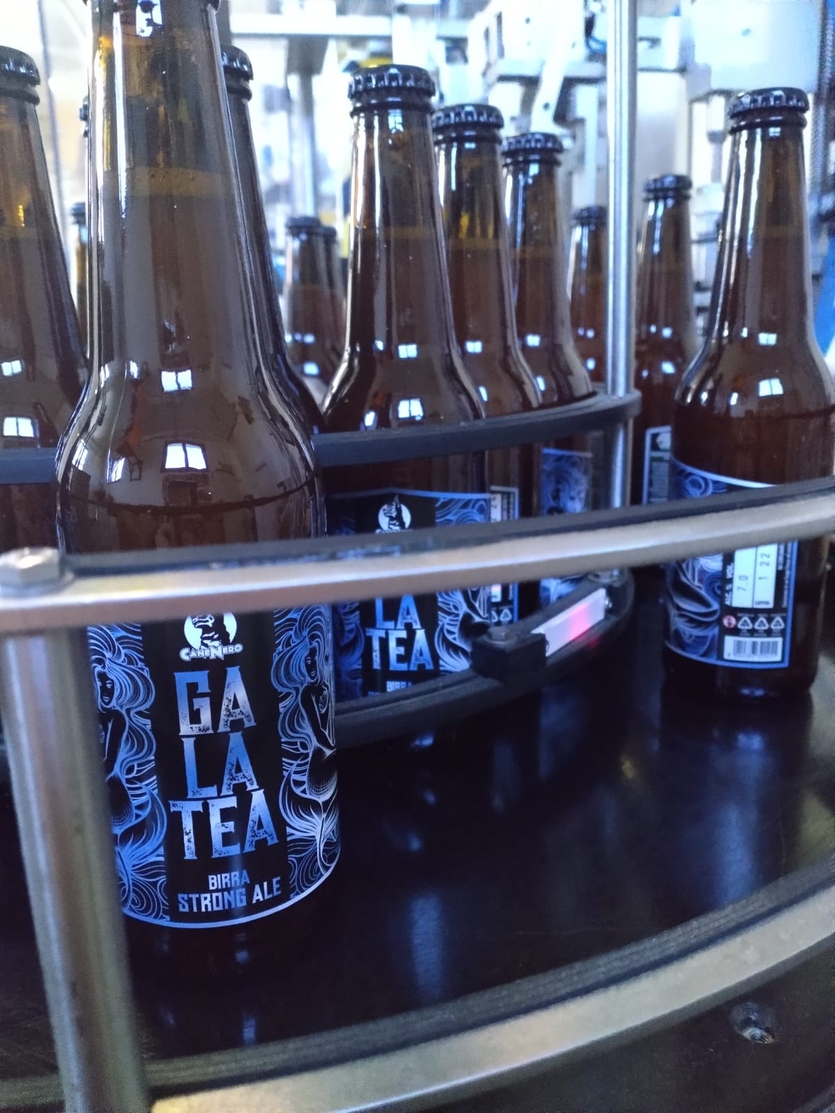 Discover The Taste Of Italy Galatea Beer 6.5% Vol. 330ml A Golden Delight