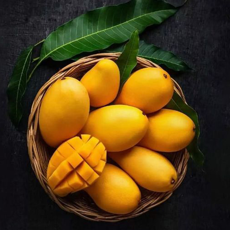 Вкусные Свежие и сладкие фрукты из манго Chu лучшего качества, вьетнамская ферма, готовая к отправке