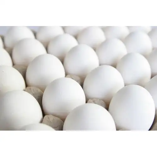 Wholesale Supplier of Fresh Eggs Brown and White Chicken Eggs