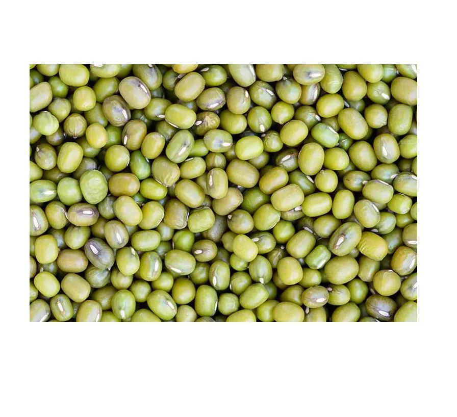 Green Mung Beans Cheap Price Green Mung Beans In Premium Quality