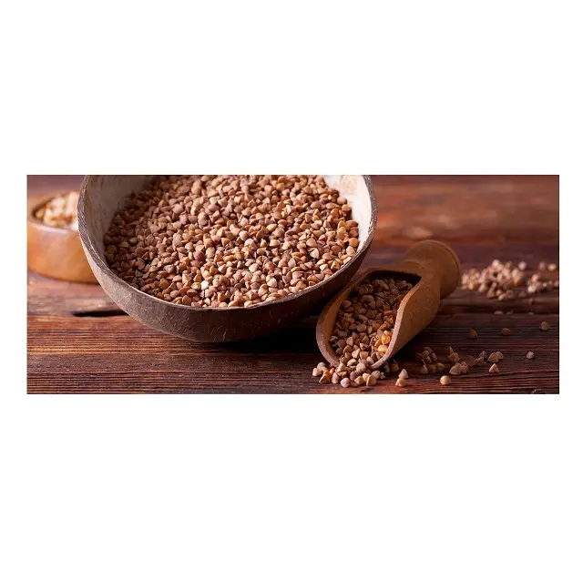 wholesale hulled buckwheat / Organic Buckwheat grain / buckwheat seed