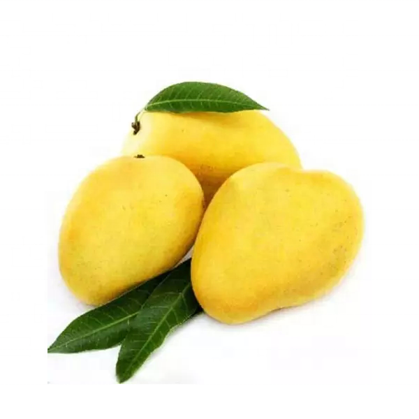 Оптовая продажа, свежее манго из Индии/Alphonso, манго, целлюлоза