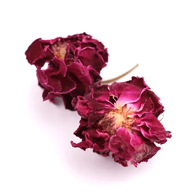 Dried Flowers For Best Taste Tea Dried Rose Organic Flowers Export In PP Bags Or Smart Packing