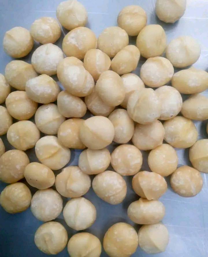 Organic Macadamia Nuts Roasted and Raw Snack and Food Style Dried Cultivation Type