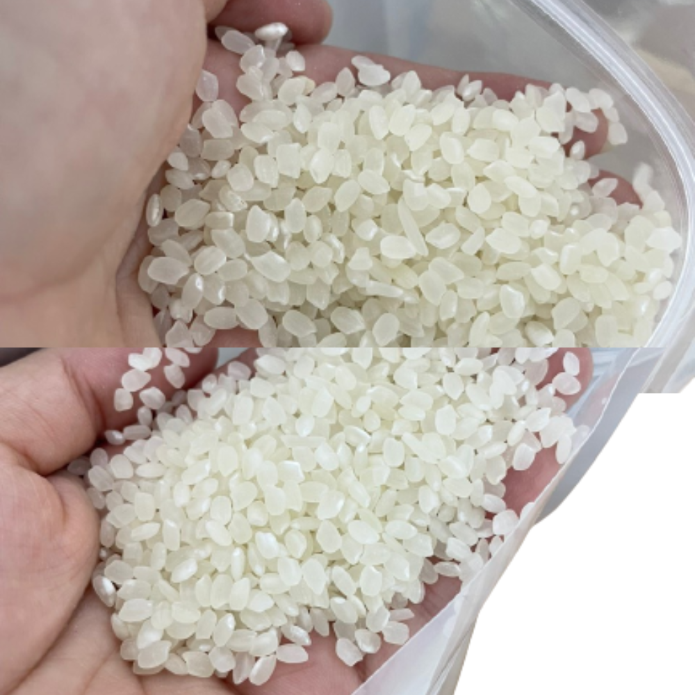 Машина для риса Japonica, быстрая доставка, экспорт продуктов питания с высоким содержанием белка, индивидуальная упаковка из Вьетнама