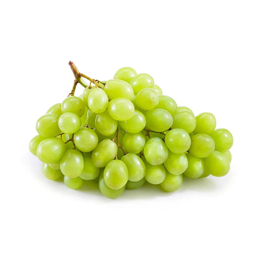 Super Delicious Taste Sweet Fresh Grapes From India