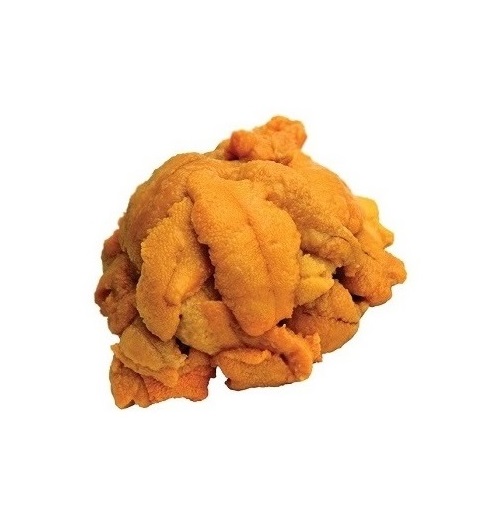 Вкусный аромат жареный морской урчин скорлупы импортер морепродукты