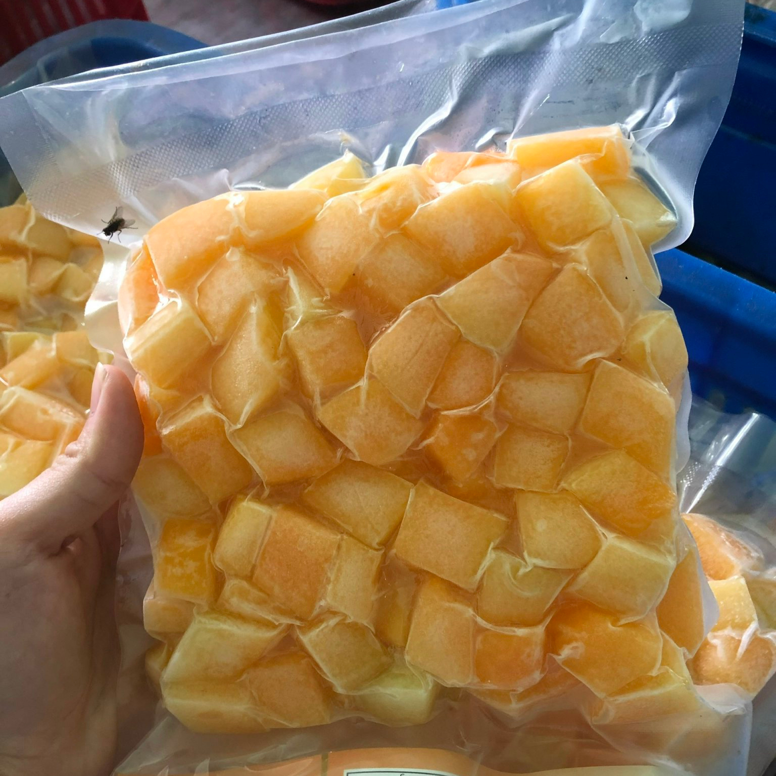 Натуральные Сладкие замороженные фрукты по самой низкой цене, замороженные папайи IQF, небольшой минимальный заказ, готов к отправке, hangtam VN из Вьетнама