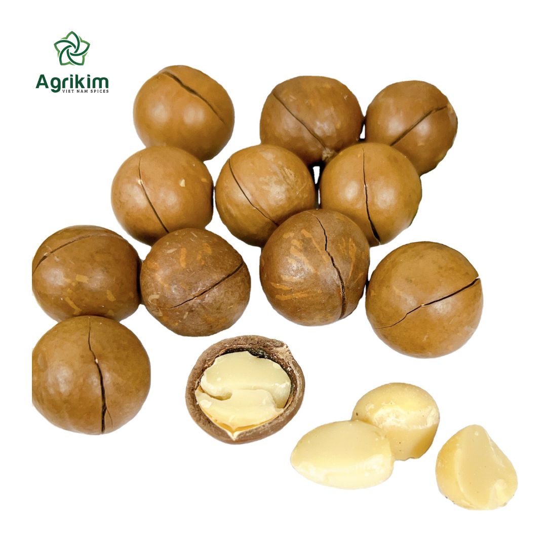 [HOT SELLING] Raw Macadamia Nuts Delicious Flavor Wholesale Price Organic Macadamia Nuts - Free Samples +84.359313086