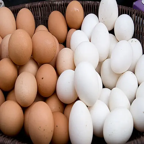 Fresh Chicken Table Eggs Brown and White