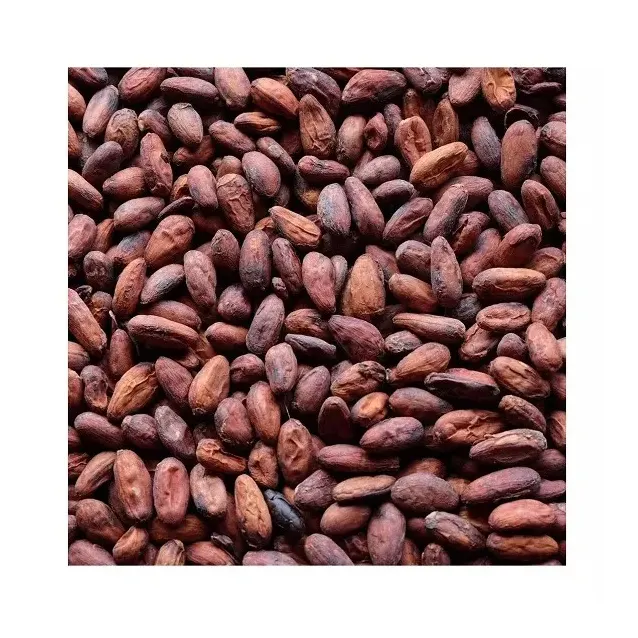 Органические какао бобы-Премиум качество Оптом Сушеные какао бобы