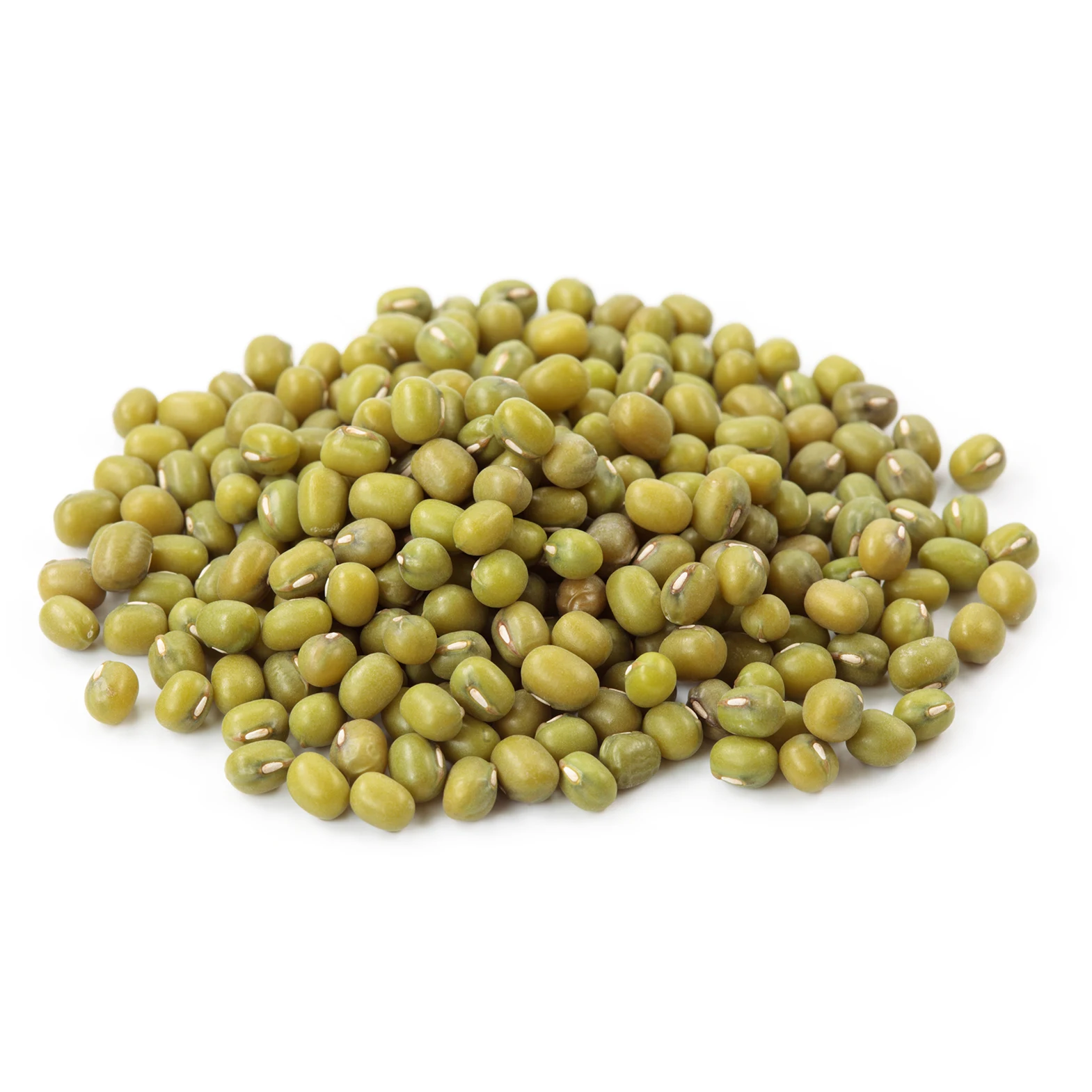 Wholesale Premium Organic Dried Green Mung Beans Quality Green Mung Beans