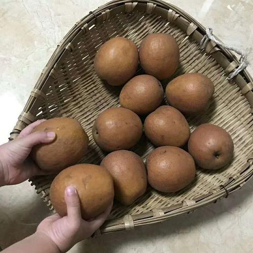 Фрукты киви