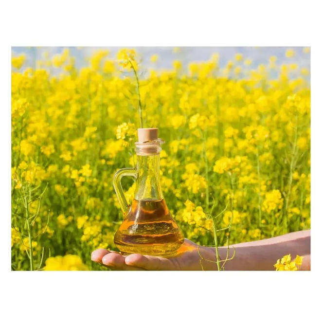 High Quality Refined Canola / Rapeseed Oil For Cooking Available For Sale At Low Price