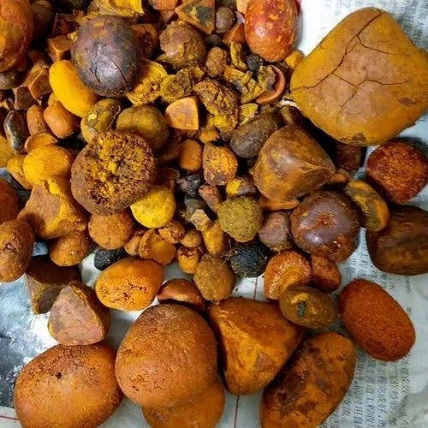 Конкурентоспособные цены, натуральные чистые бычьи/коровьи/бычьи желчные камни