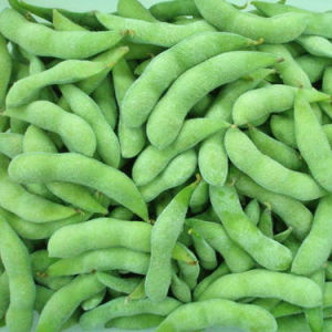 Замороженные зеленые соевые бобы Edamame IQF