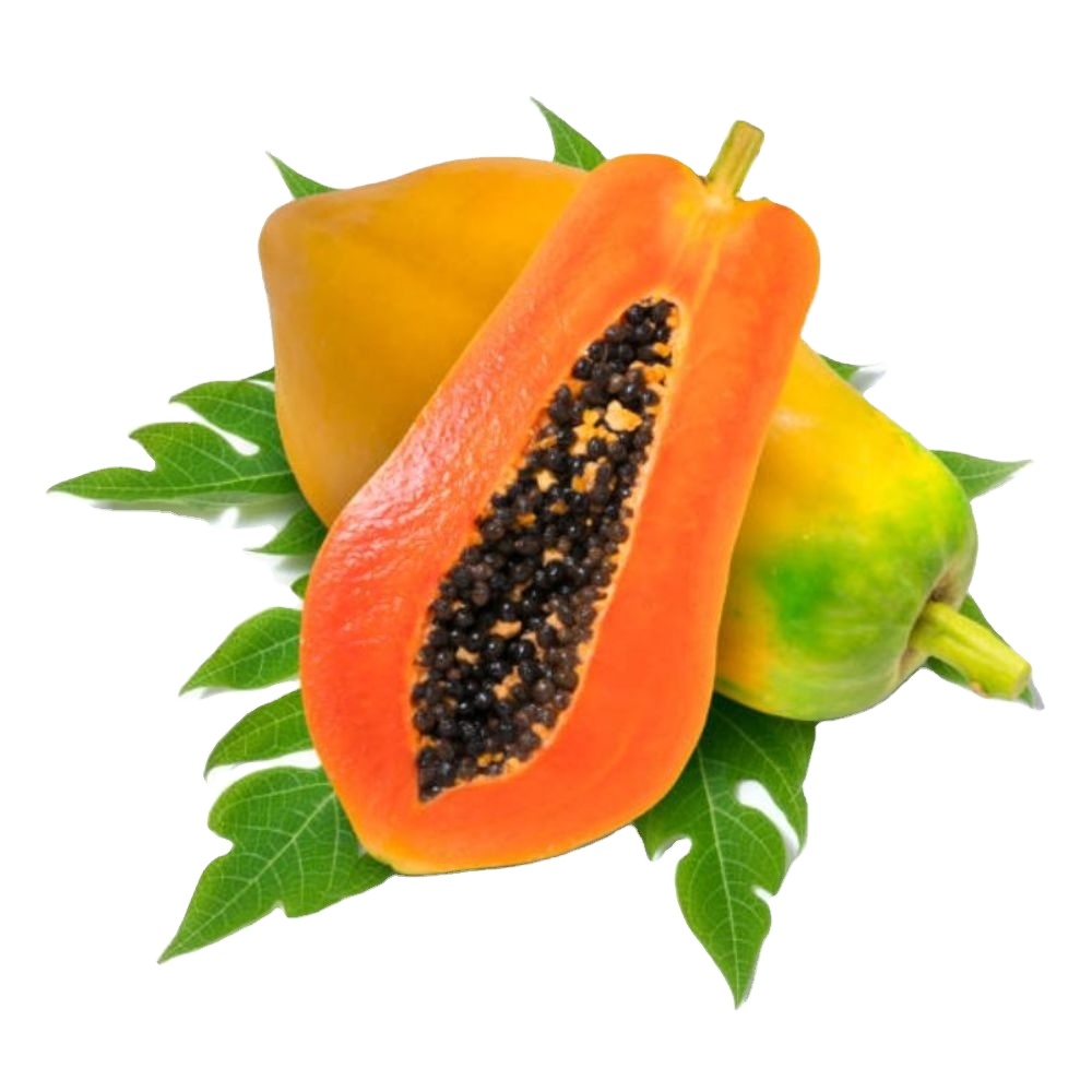 Pawpaw red glory f1 - MN GLOBAL IMPEX из Индии в Германию