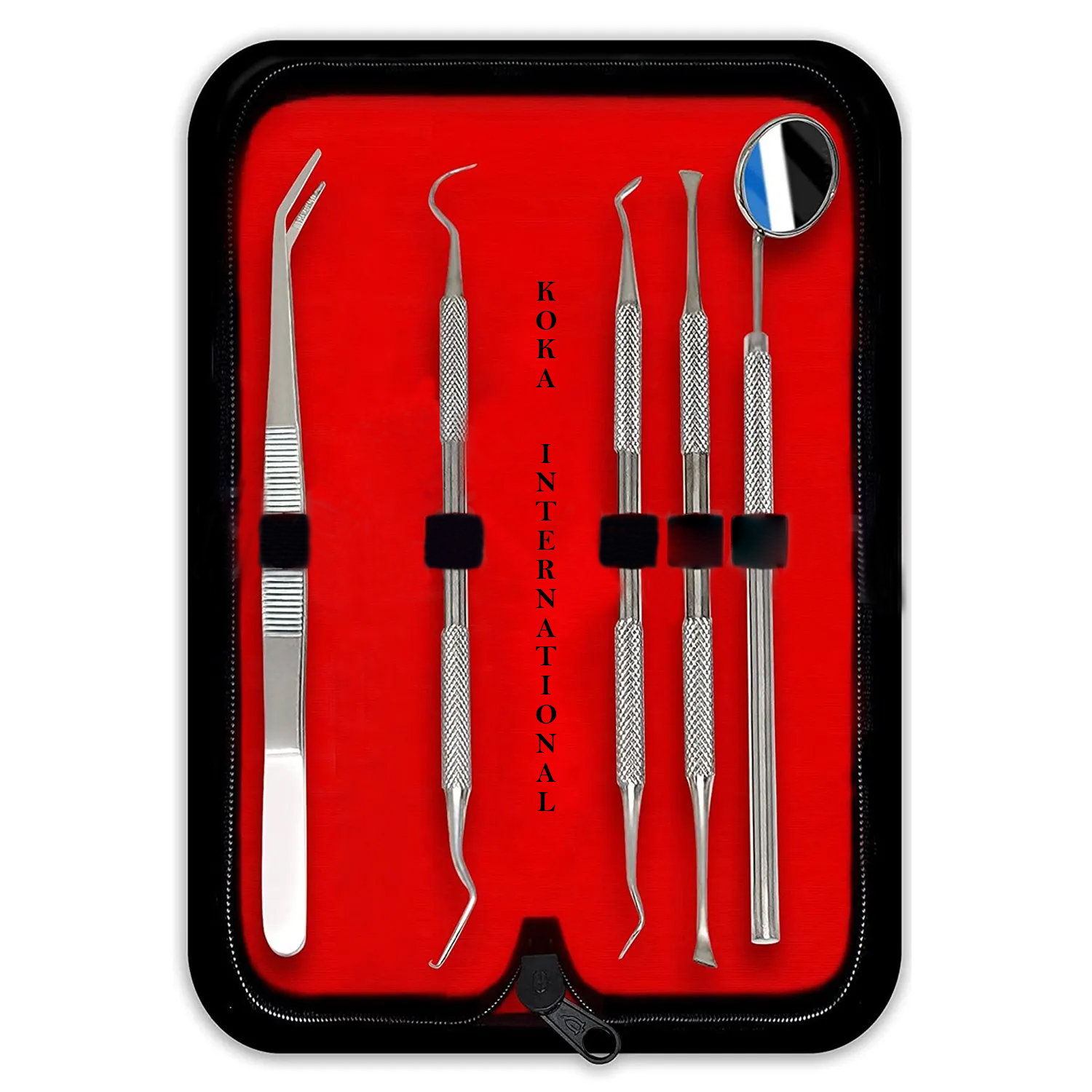 5 Pcs Professional Dental Oral Hygiene Kit