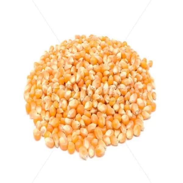 Wholesale Good Quality At Factory Price Corn Shelled Corn Drier Corn Harvester