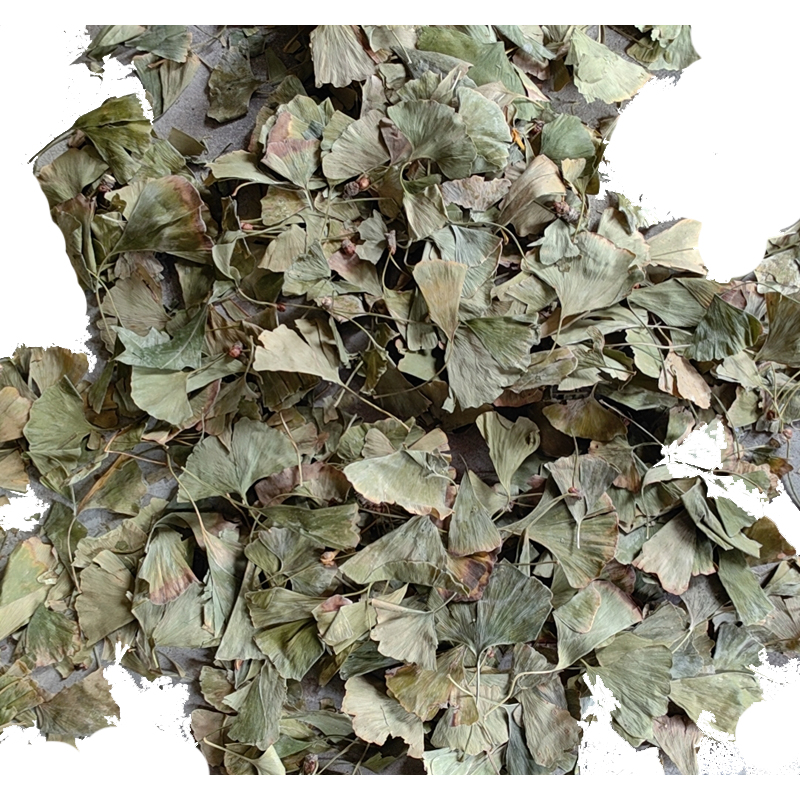 Heat-selling FOLIUM GINKGO biloba leaf promotes memory and improves brain function