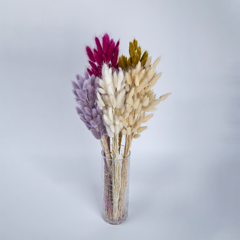 Gold Supplier Hight Quality Colorful Bunny Tails Dry Fluffy Pampass Grass Flowers Preserved Rabbit Tail Lagurus