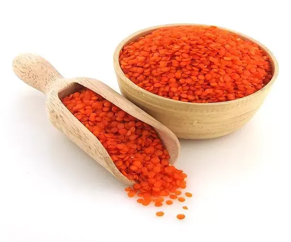 Australia Red Whole Lentils Yellow Green Light Style Organic Color Weight Shelf Origin Type Life Size Bright Color Product Dry