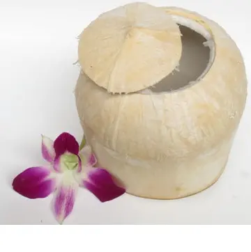 Wholesale coconut- Fresh coconut young - Semi husked coconut with 9pcs / LC- TT payment from Viet Nam
