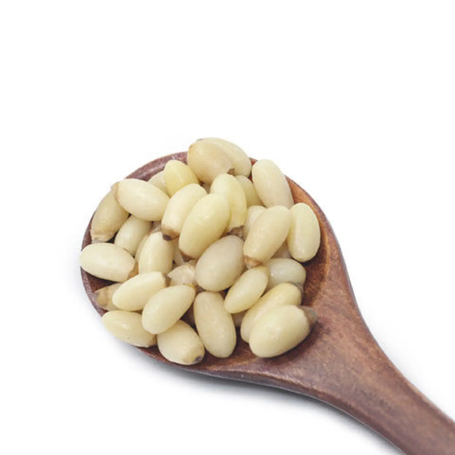 Quality Pine Nut Kernels for sale - Wholesale Natural Red Pine Nuts Kernel