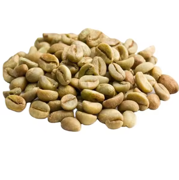 Organic Coffee High Quality Organic Coffee Whole Grain and Enriched Taste Best Flavored Raw Coffee Beans