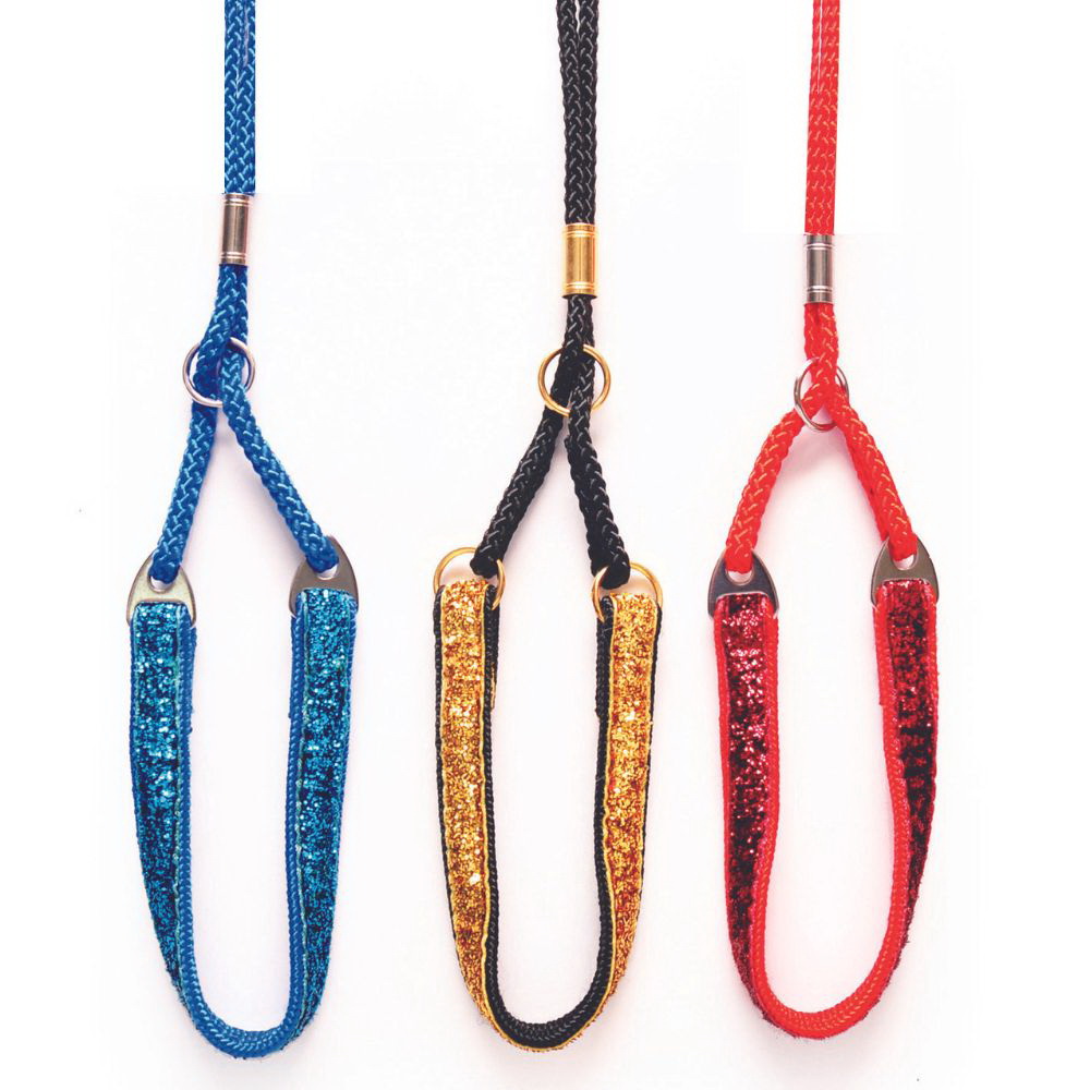 Dog show lead