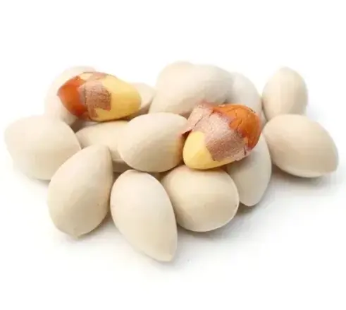 High quality Best Price dried Quality Ginkgo Nuts For Sale wholesale
