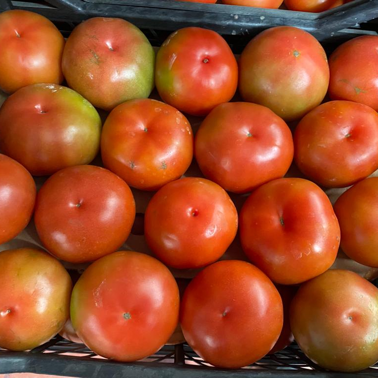 Оптовая продажа, вкусные Томаты, питательные, оптом, Турция