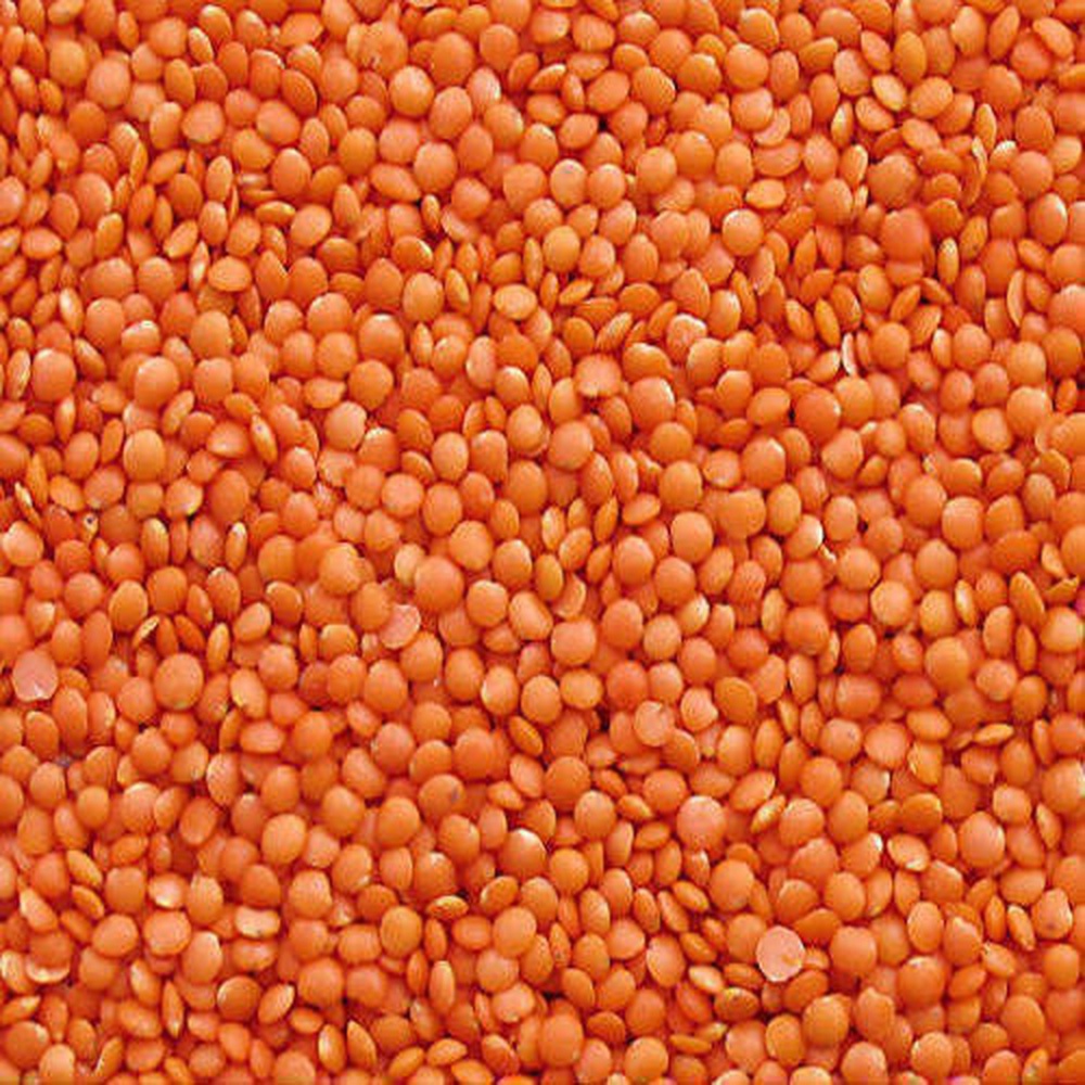 Оптовая продажа, Laal Masoor Dal, вкусная качественная Красная чечевица/masoor dal, высокое качество, Лучшая цена