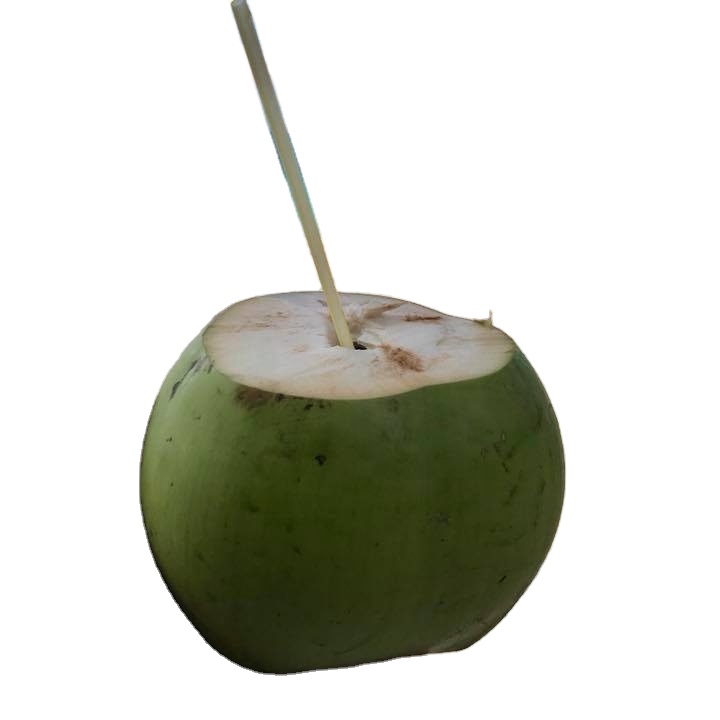 Vietnam Fresh Diamond Cut White Young Coconut for sale