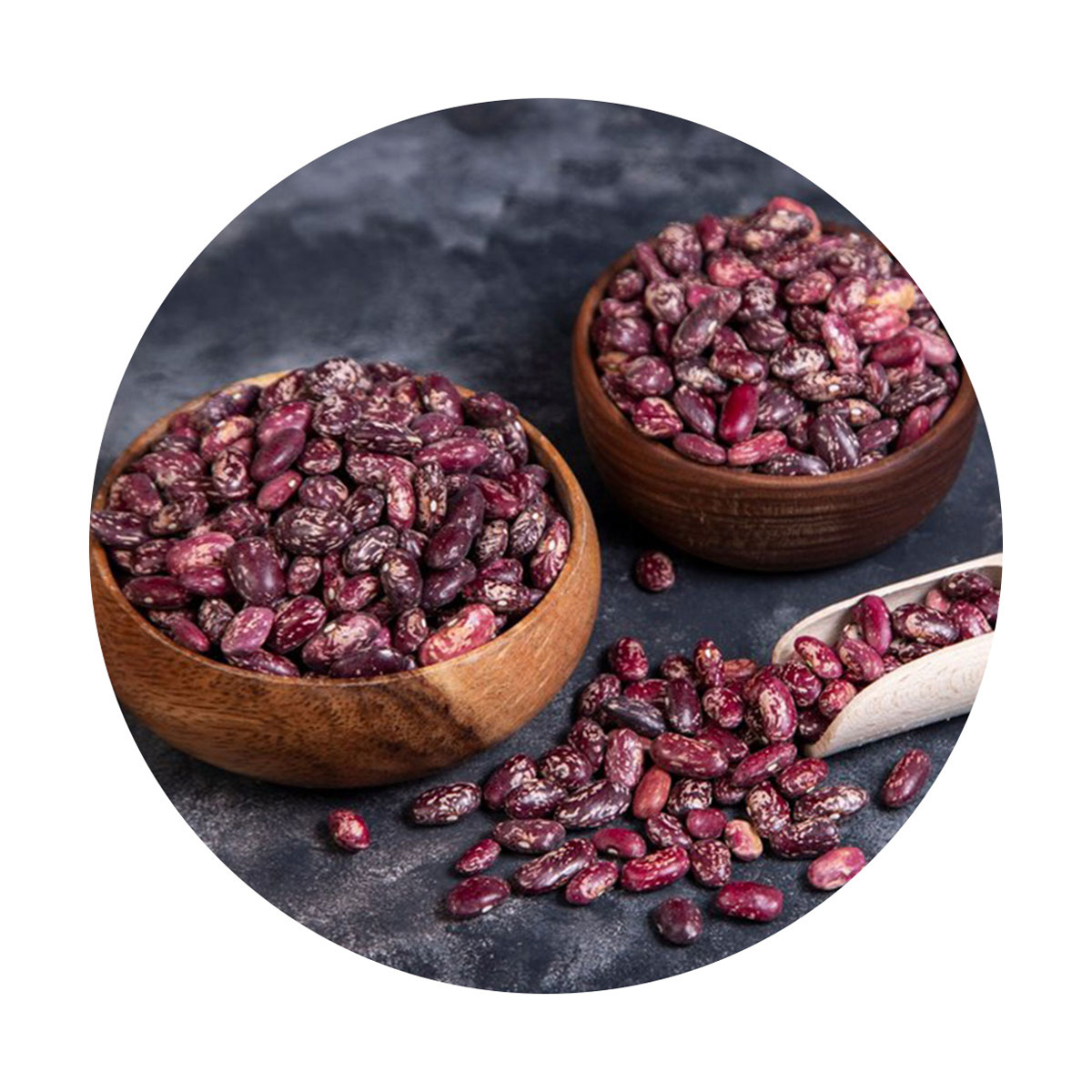 Bulk selling red kidney beans from Uzbekistan reliable supplier beans in bulk